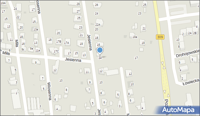 Leszno, Jesienna, 14, mapa Leszno