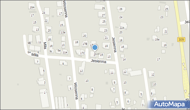 Leszno, Jesienna, 17, mapa Leszno