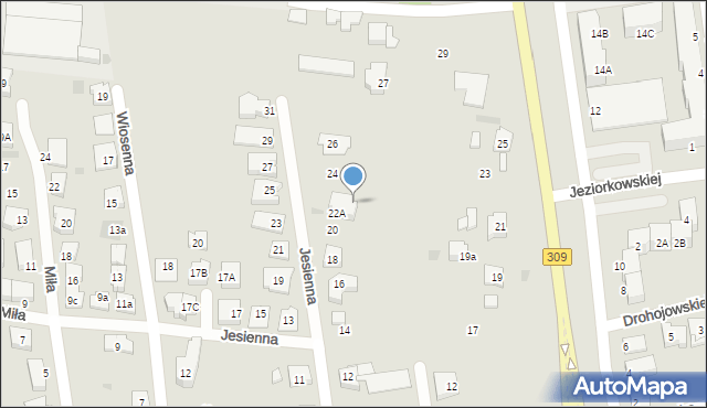 Leszno, Jesienna, 22C, mapa Leszno