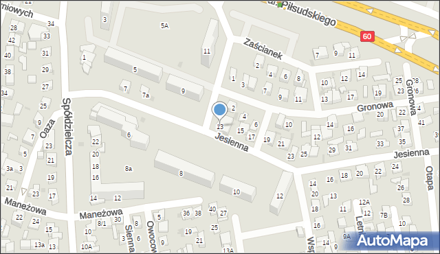 Płock, Jesienna, 13, mapa Płock