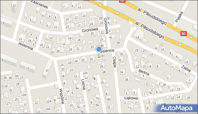 Płock, Jesienna, 24, mapa Płock