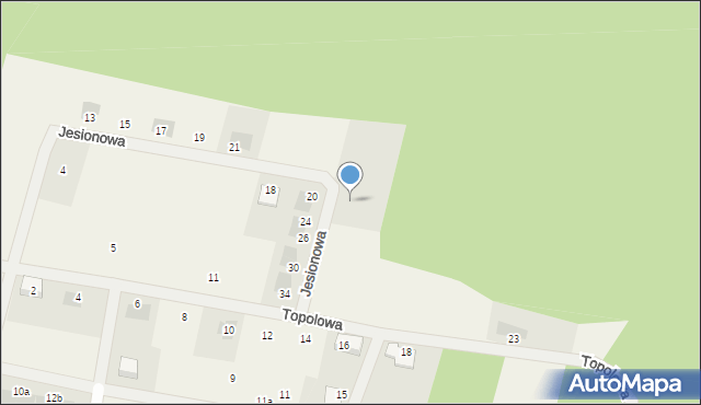 Wilkszyn, Jesionowa, 31, mapa Wilkszyn