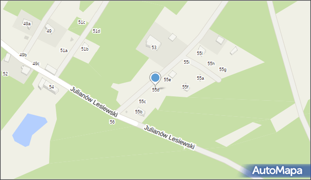 Julianów Lesiewski, Julianów Lesiewski, 55d, mapa Julianów Lesiewski