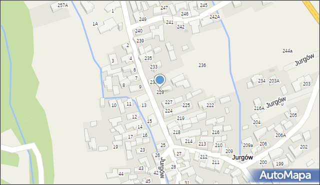 Jurgów, Jurgów, 229, mapa Jurgów