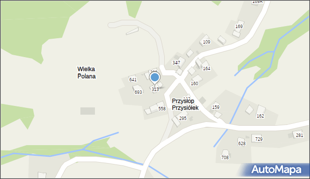 Juszczyn, Juszczyn, 313, mapa Juszczyn