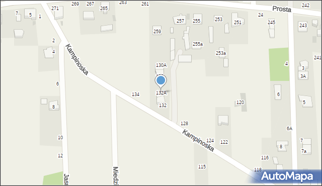 Augustówek, Kampinoska, 132A, mapa Augustówek