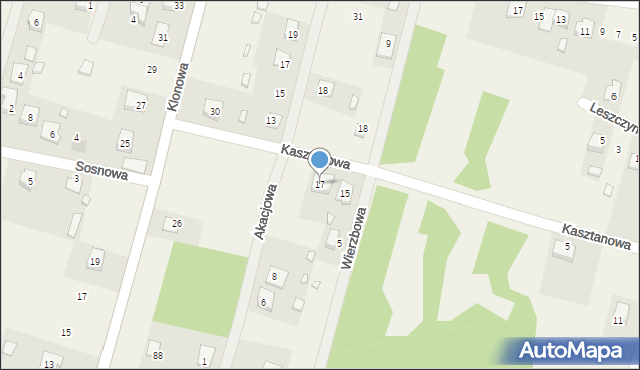 Borków, Kasztanowa, 17, mapa Borków