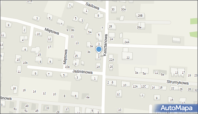 Borkowo, Kasztanowa, 1, mapa Borkowo