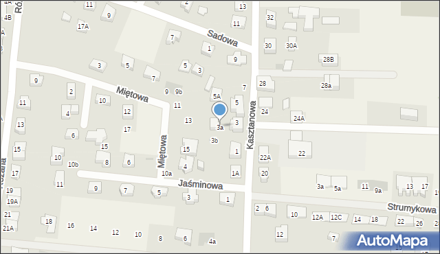 Borkowo, Kasztanowa, 3a, mapa Borkowo