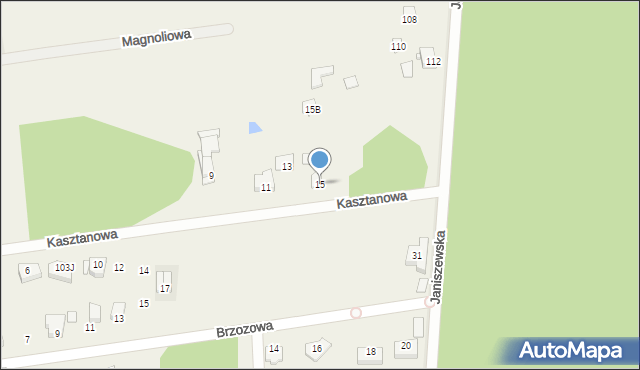 Janiszew, Kasztanowa, 15, mapa Janiszew