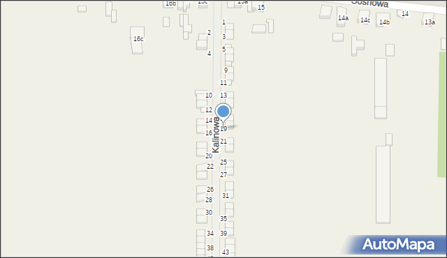 Janków Przygodzki, Kalinowa, 19, mapa Janków Przygodzki