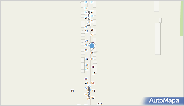 Janków Przygodzki, Kalinowa, 35, mapa Janków Przygodzki