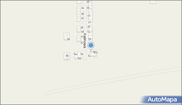 Janków Przygodzki, Kalinowa, 61a, mapa Janków Przygodzki