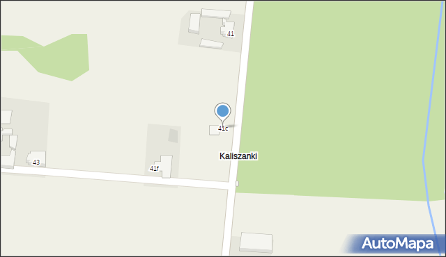 Kaliszany, Kaliszany, 41c, mapa Kaliszany