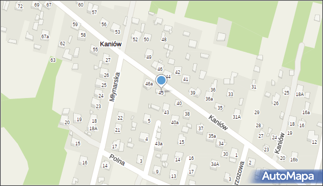 Kaniów, Kaniów, 45, mapa Kaniów