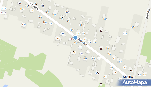 Kaniów, Kaniów, 79, mapa Kaniów