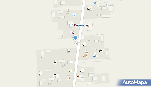 Kaplonosy, Kaplonosy, 45, mapa Kaplonosy