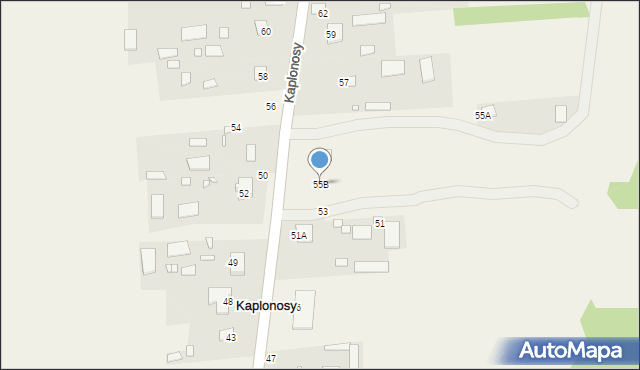 Kaplonosy, Kaplonosy, 55B, mapa Kaplonosy