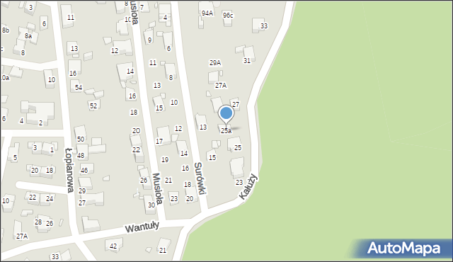 Katowice, Kałuży Michała, 25a, mapa Katowic