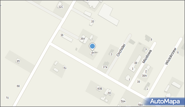 Kazimierzówka, Kazimierzówka, 37, mapa Kazimierzówka