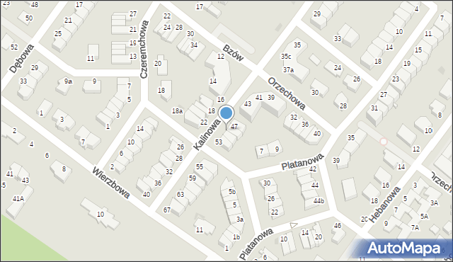 Koszalin, Kalinowa, 49, mapa Koszalina