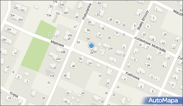 Kwirynów, Kalinowa, 1A, mapa Kwirynów