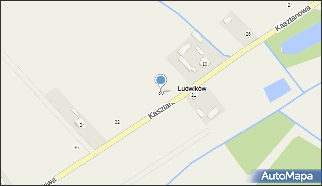 Ludwików, Kasztanowa, 30, mapa Ludwików