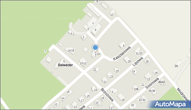 Mogielnica, Kasztanowa, 1, mapa Mogielnica
