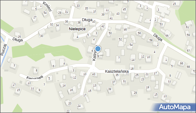 Nielepice, Kalinowa, 9, mapa Nielepice
