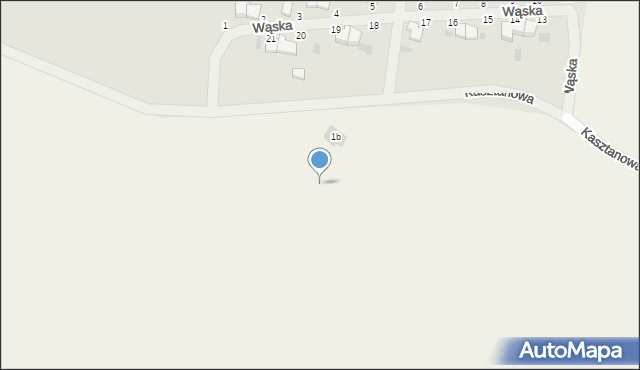 Nowa Wieś Malborska, Kasztanowa, 1c, mapa Nowa Wieś Malborska