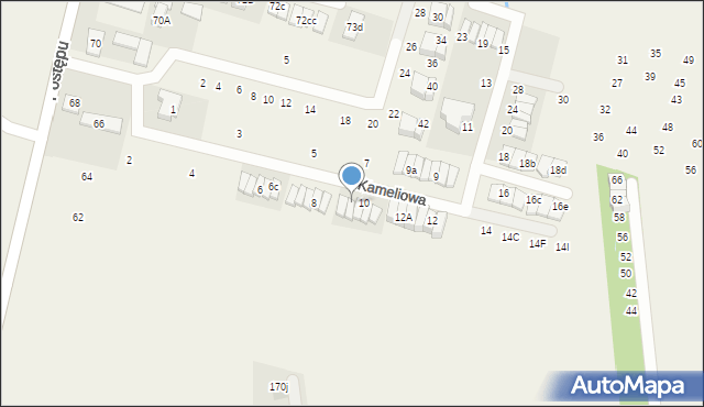 Nowa Wola, Kameliowa, 10a, mapa Nowa Wola