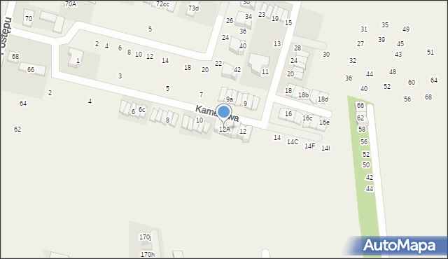 Nowa Wola, Kameliowa, 12A, mapa Nowa Wola