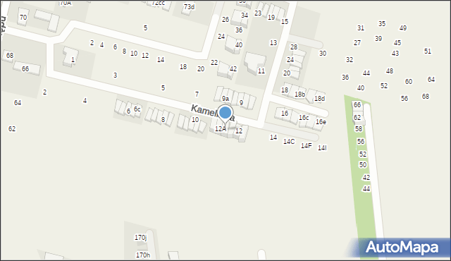 Nowa Wola, Kameliowa, 12B, mapa Nowa Wola