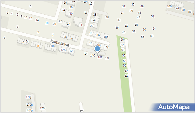 Nowa Wola, Kameliowa, 14E, mapa Nowa Wola