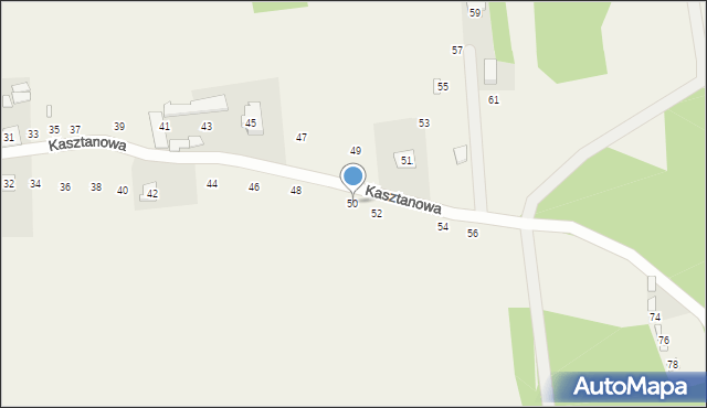 Orzeszyn, Kasztanowa, 50, mapa Orzeszyn