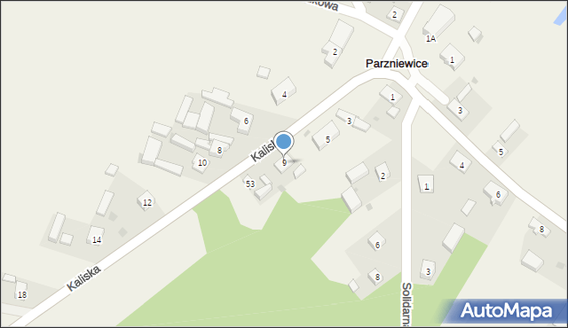 Parzniewice, Kaliska, 9, mapa Parzniewice