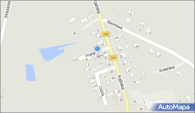 Piotrków Kujawski, Kaliska, 22a, mapa Piotrków Kujawski