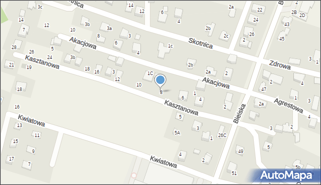 Pisarzowice, Kasztanowa, 8, mapa Pisarzowice