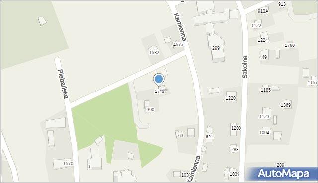 Radziechowy, Kamienna, 1745, mapa Radziechowy