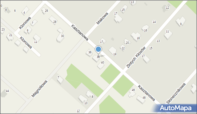 Rybienko Nowe, Kasztanowa, 38, mapa Rybienko Nowe