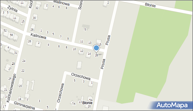 Skaryszew, Kalinowa, 16, mapa Skaryszew