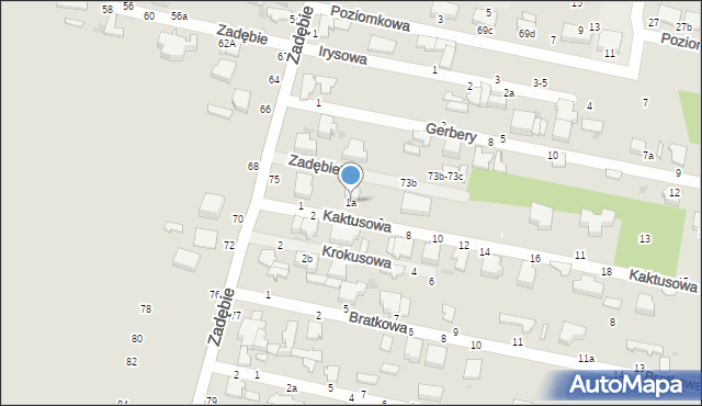 Skierniewice, Kaktusowa, 1a, mapa Skierniewic