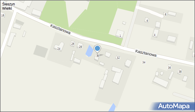 Śleszyn, Kasztanowa, 30, mapa Śleszyn