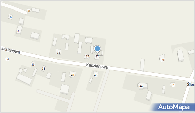 Śleszyn, Kasztanowa, 37, mapa Śleszyn