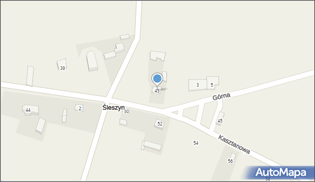Śleszyn, Kasztanowa, 43, mapa Śleszyn
