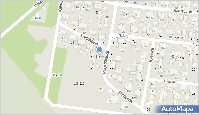 Tomaszów Mazowiecki, Kaktusowa, 1, mapa Tomaszów Mazowiecki