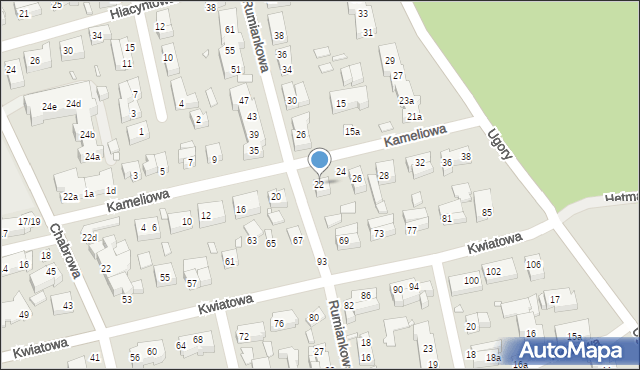 Toruń, Kameliowa, 22, mapa Torunia
