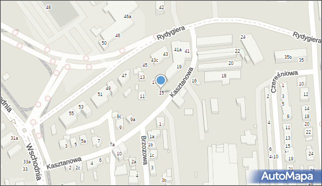Toruń, Kasztanowa, 15, mapa Torunia
