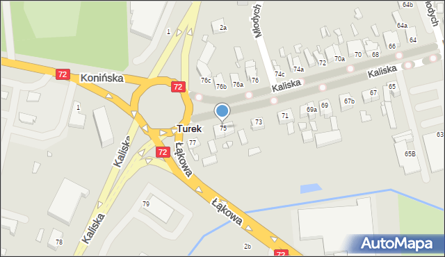 Turek, Kaliska, 75, mapa Turka