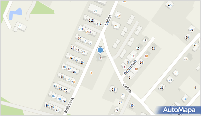 Wilkszyn, Kalinowa, 1, mapa Wilkszyn